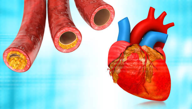 blood vessel health